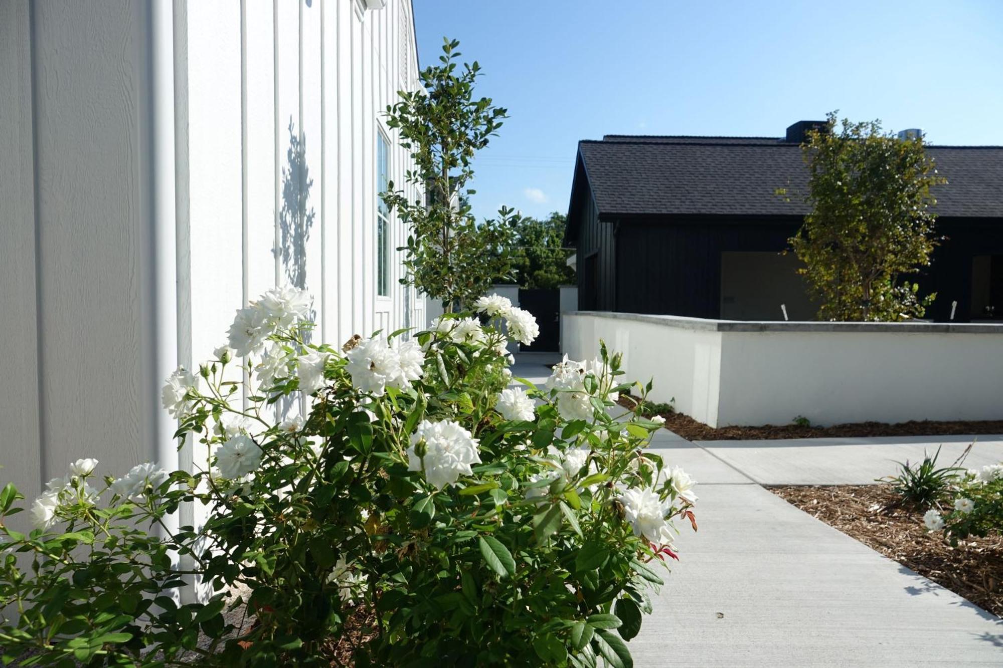 Whitetail Court Hotel Fredericksburg Exterior photo